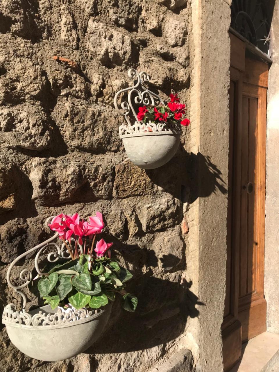 Il Gallo Viterbo Zewnętrze zdjęcie